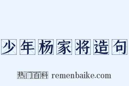 少年杨家将造句是什么意思的图片
